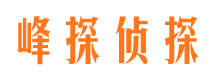 镇巴侦探